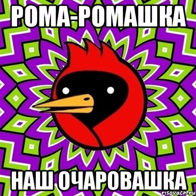 Рома-Ромашка Наш очаровашка, Мем Омская птица