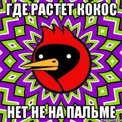 где растет кокос нет не на пальме, Мем Омская птица