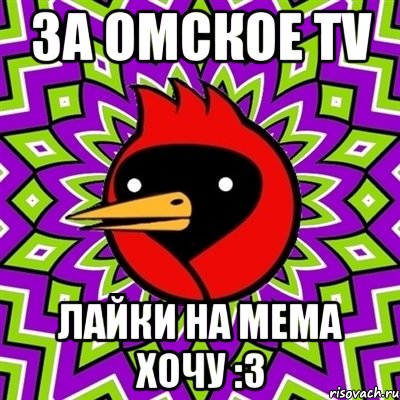 За Омское TV Лайки на мема хочу :3, Мем Омская птица
