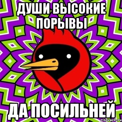 Души высокие порывы да посильней, Мем Омская птица