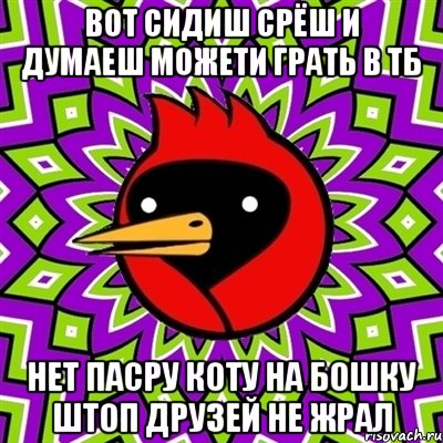 вот сидиш срёш и думаеш можети грать в тб нет пасру коту на бошку штоп друзей не жрал, Мем Омская птица