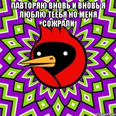 павторяю вновь и вновь я люблю теебя но меня сожрали , Мем Омская птица