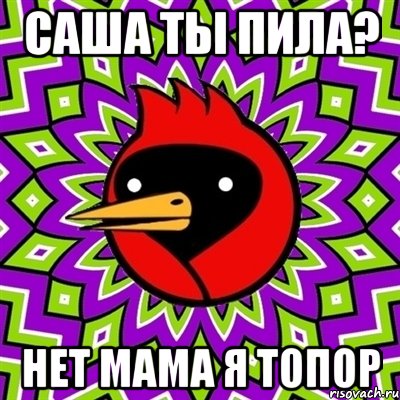 Саша ты пила? нет мама я топор, Мем Омская птица