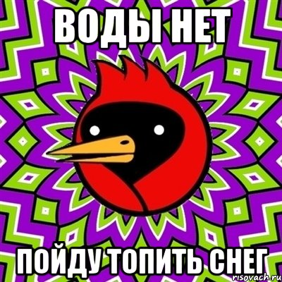ВОДЫ НЕТ пойду топить снег, Мем Омская птица