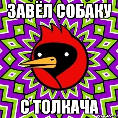 Завёл собаку с толкача, Мем Омская птица