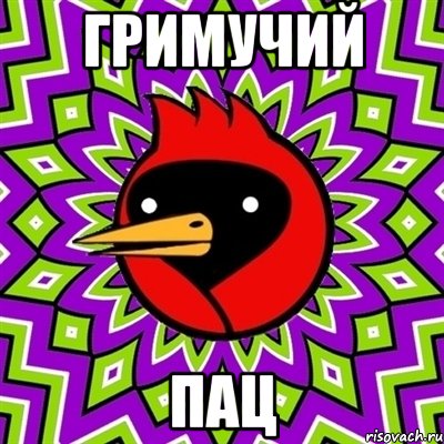 Гримучий Пац, Мем Омская птица
