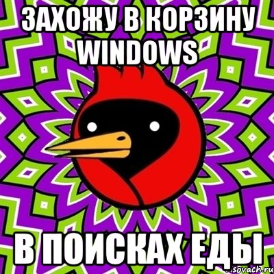 захожу в корзину windows в поисках еды, Мем Омская птица