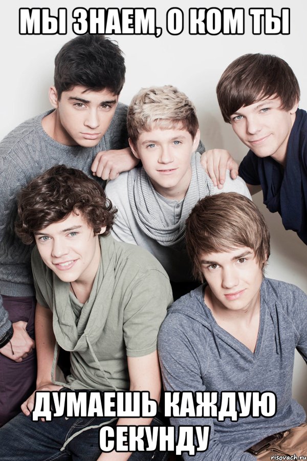 Мы знаем, о ком ты думаешь каждую секунду, Мем One Direction
