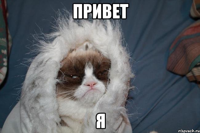 привет я