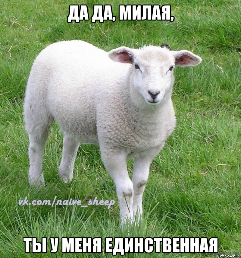 да да, милая, ты у меня единственная