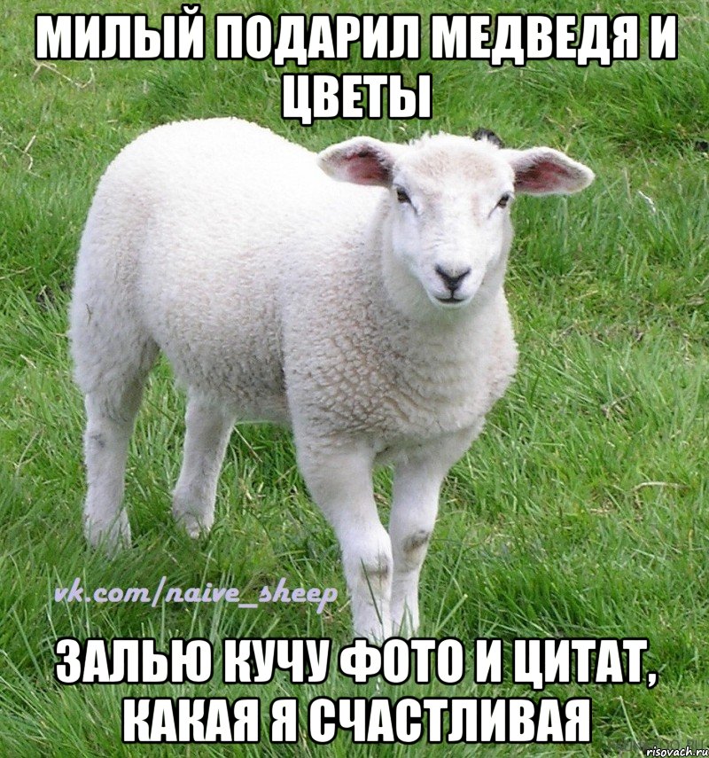 милый подарил медведя и цветы залью кучу фото и цитат, какая я счастливая