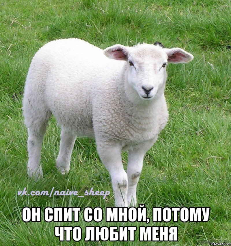  он спит со мной, потому что любит меня