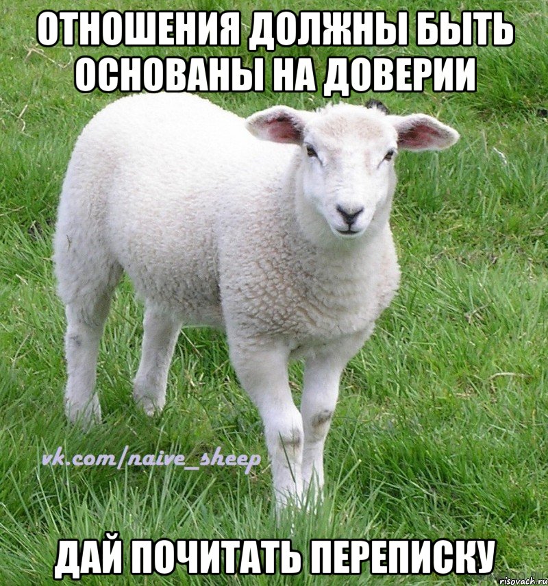 отношения должны быть основаны на доверии дай почитать переписку, Мем Овца Наивная