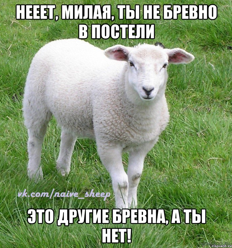 нееет, милая, ты не бревно в постели это другие бревна, а ты нет!