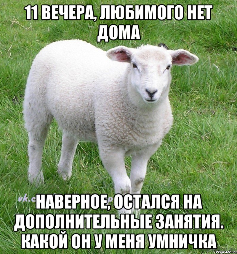 11 вечера, любимого нет дома наверное, остался на дополнительные занятия. какой он у меня умничка