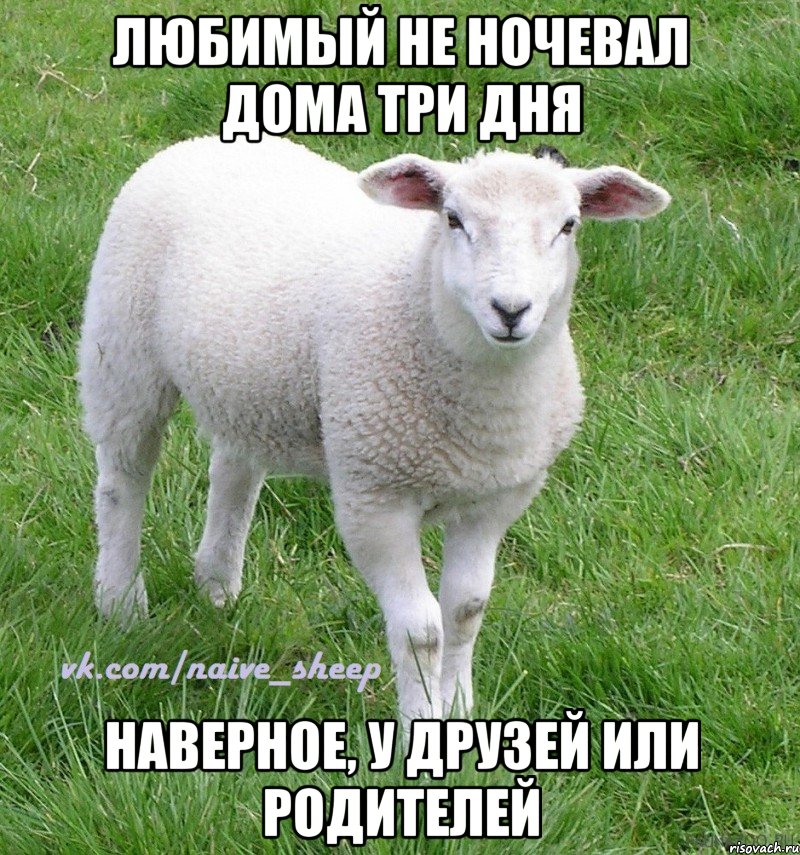 любимый не ночевал дома три дня наверное, у друзей или родителей