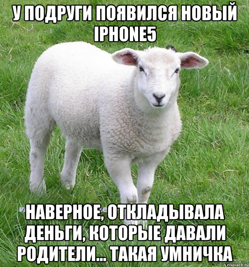 у подруги появился новый iPhone5 наверное, откладывала деньги, которые давали родители... такая умничка