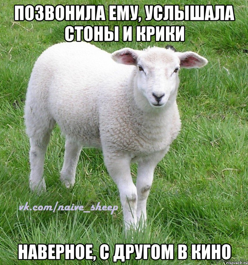 позвонила ему, услышала стоны и крики наверное, с другом в кино