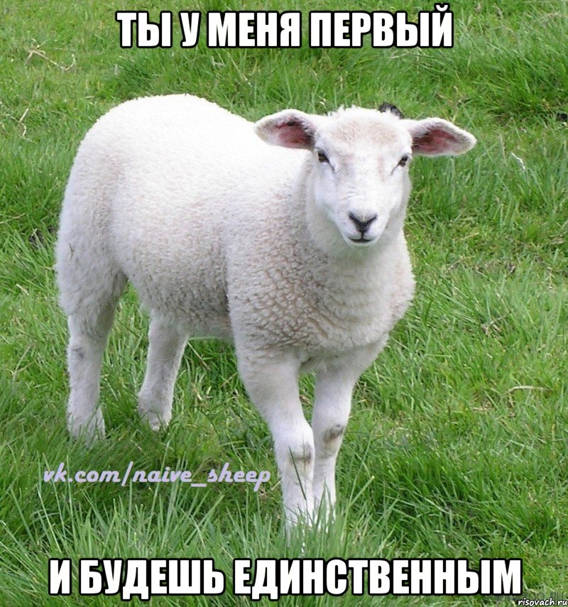 ты у меня первый и будешь единственным
