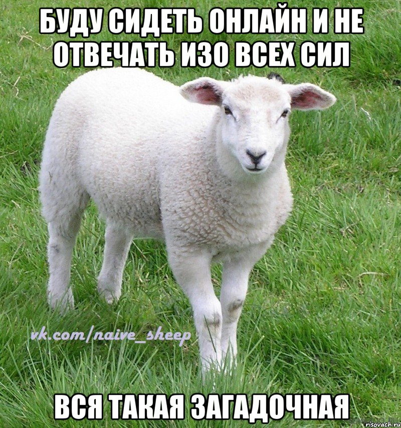 буду сидеть онлайн и не отвечать изо всех сил вся такая загадочная