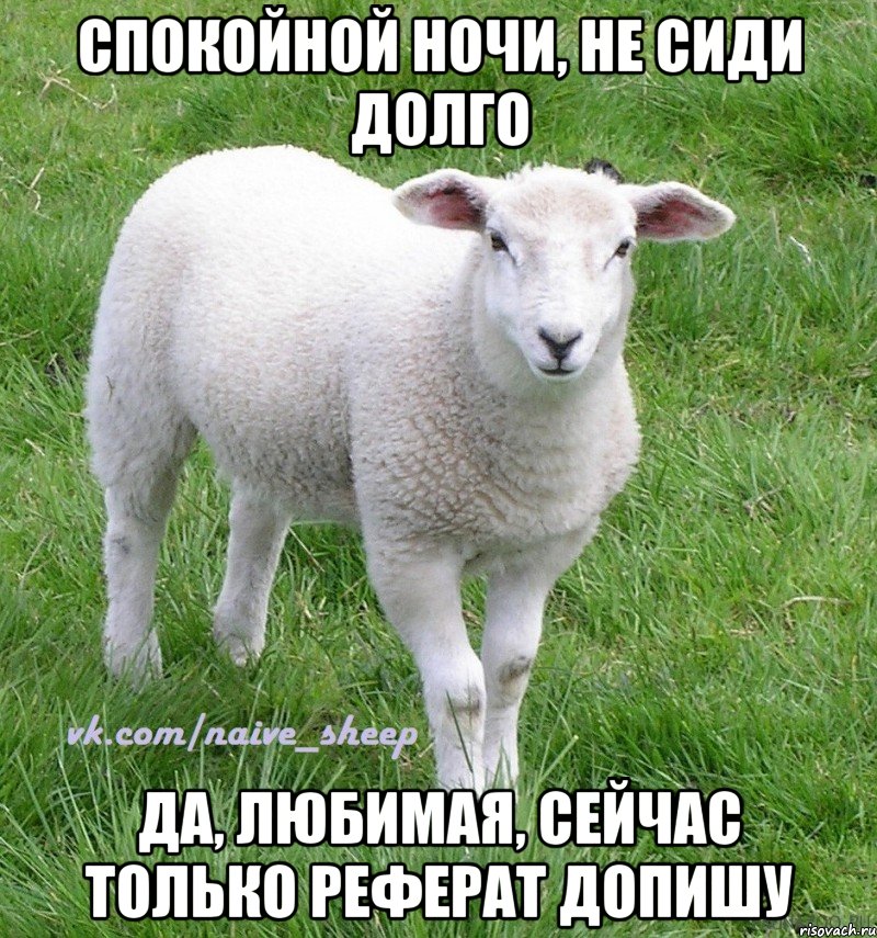 спокойной ночи, не сиди долго да, любимая, сейчас только реферат допишу