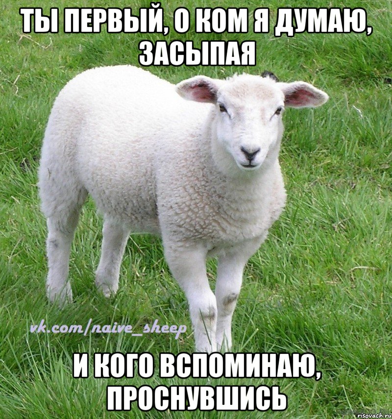 ты первый, о ком я думаю, засыпая и кого вспоминаю, проснувшись