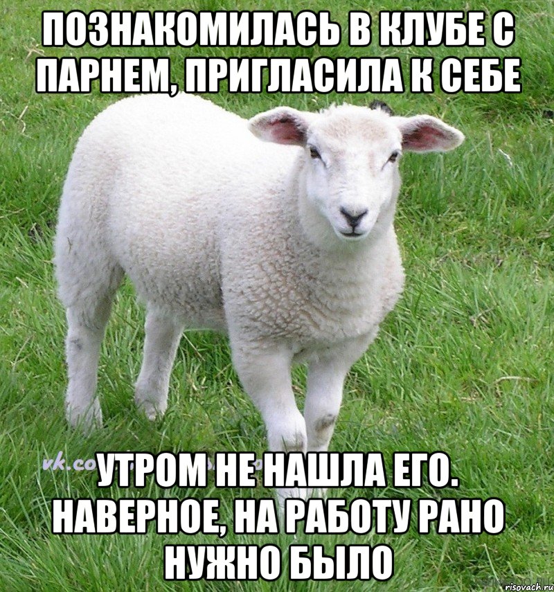 познакомилась в клубе с парнем, пригласила к себе утром не нашла его. наверное, на работу рано нужно было