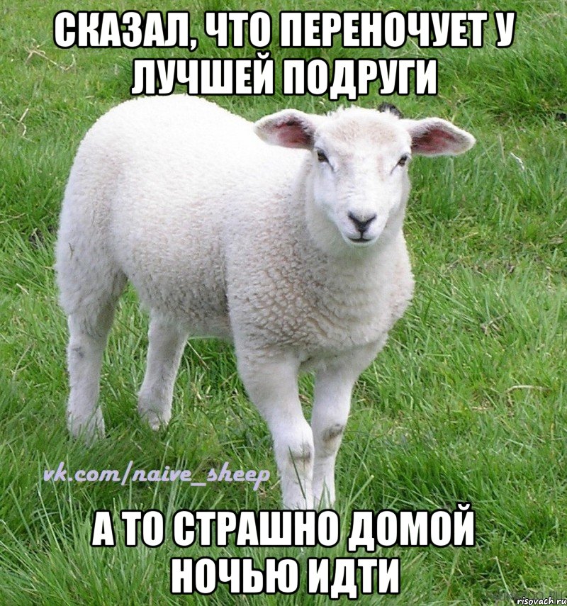 сказал, что переночует у лучшей подруги а то страшно домой ночью идти