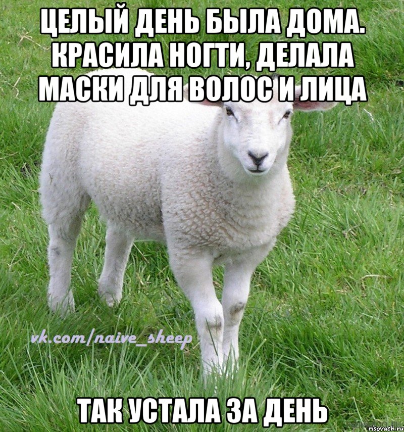 целый день была дома. красила ногти, делала маски для волос и лица так устала за день