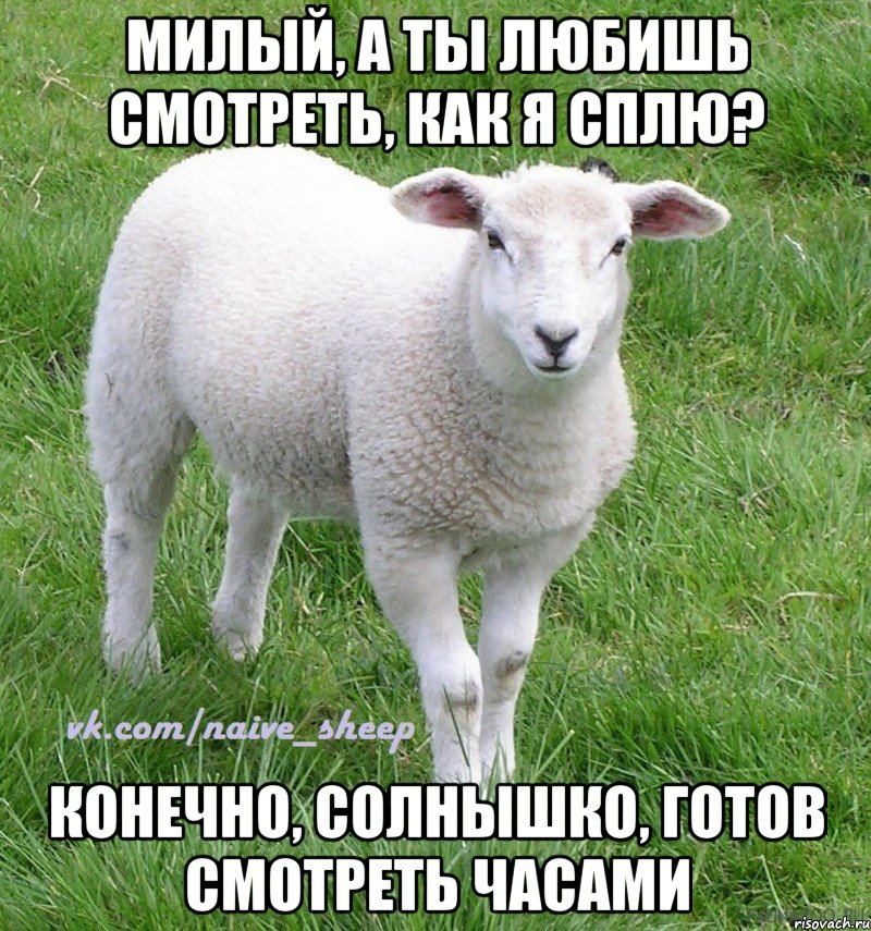 милый, а ты любишь смотреть, как я сплю? конечно, солнышко, готов смотреть часами