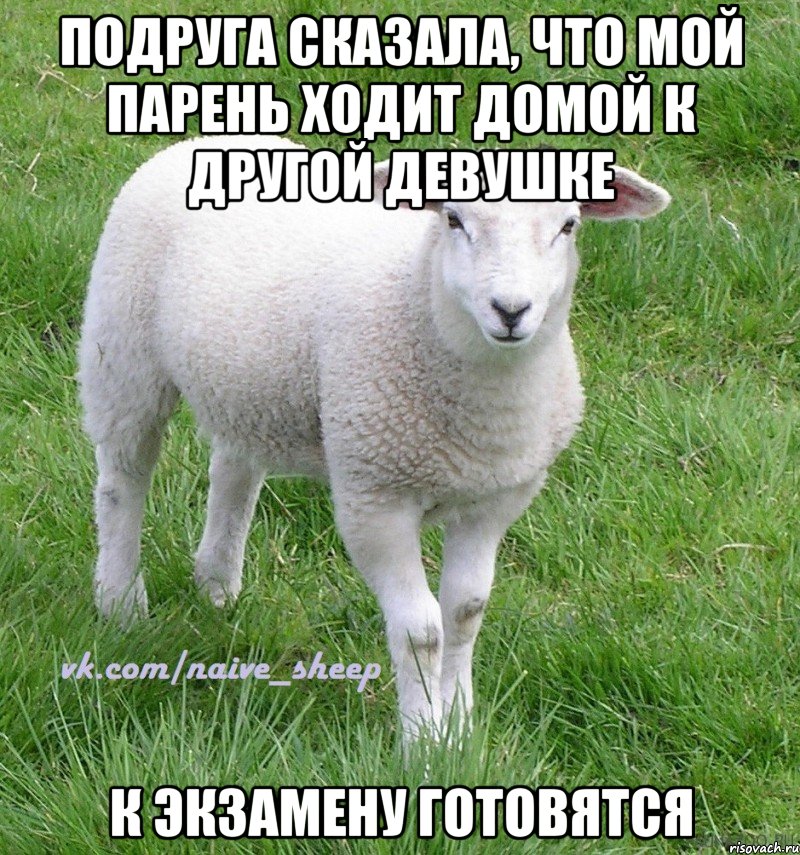 подруга сказала, что мой парень ходит домой к другой девушке к экзамену готовятся