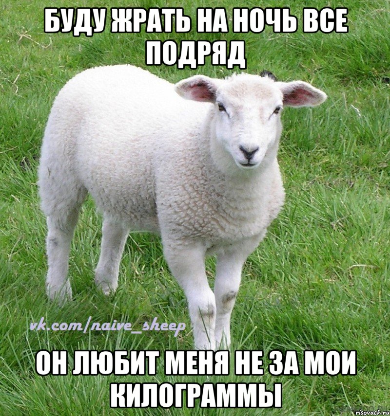 буду жрать на ночь все подряд он любит меня не за мои килограммы