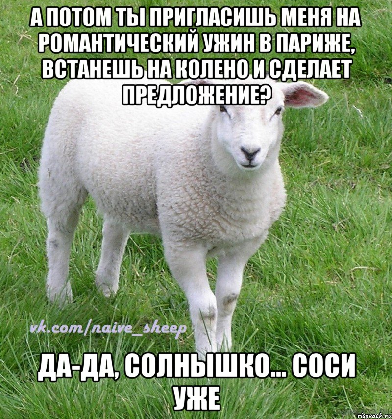 а потом ты пригласишь меня на романтический ужин в париже, встанешь на колено и сделает предложение? да-да, солнышко... соси уже