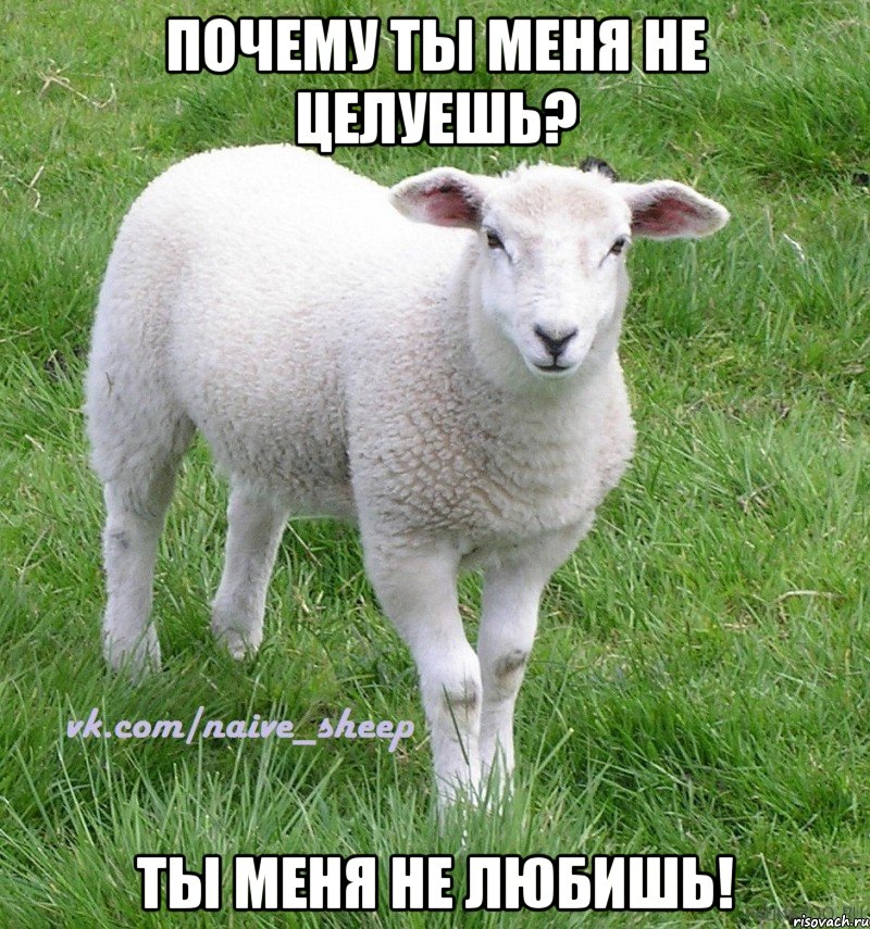 почему ты меня не целуешь? ты меня не любишь!