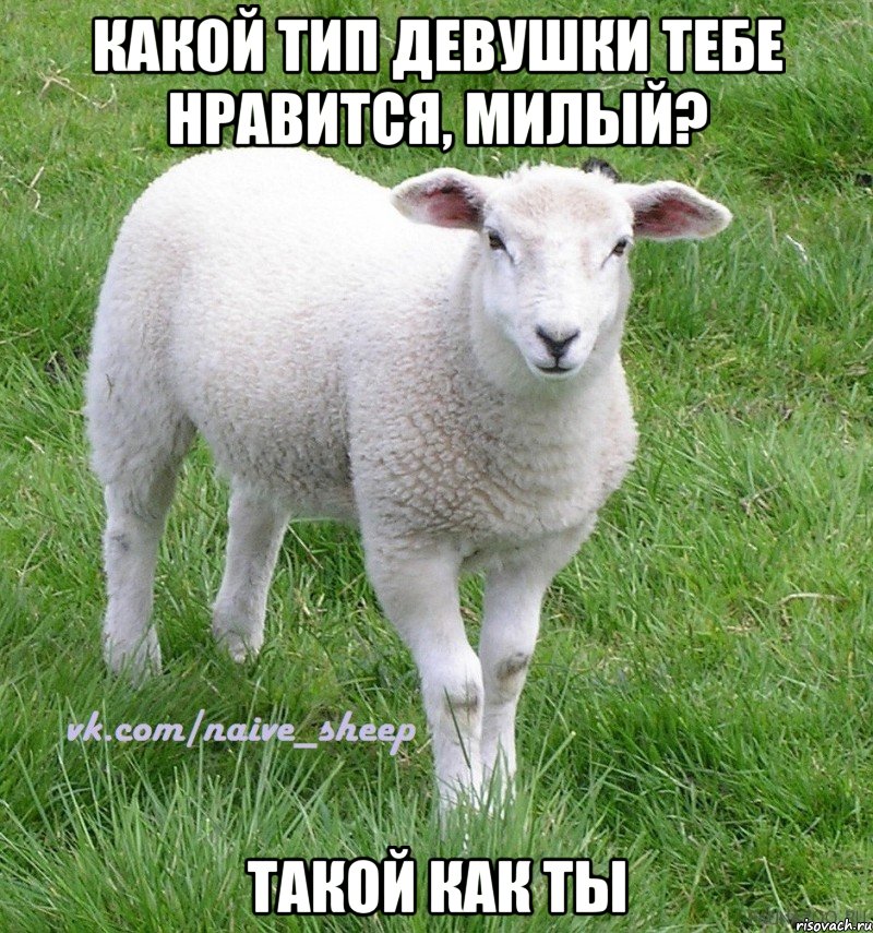 какой тип девушки тебе нравится, милый? такой как ты