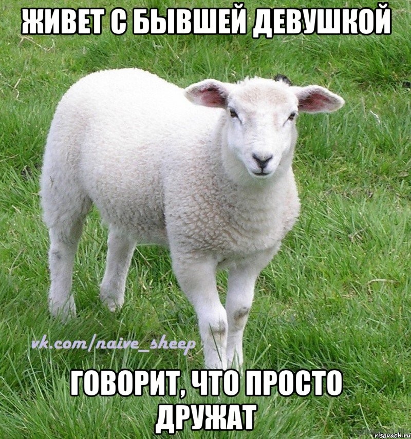 живет с бывшей девушкой говорит, что просто дружат