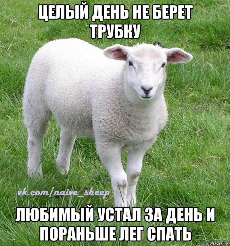 целый день не берет трубку любимый устал за день и пораньше лег спать