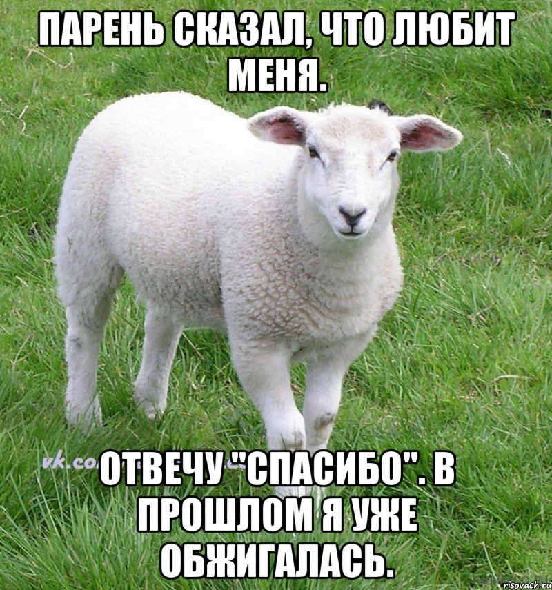 парень сказал, что любит меня. отвечу "спасибо". в прошлом я уже обжигалась.