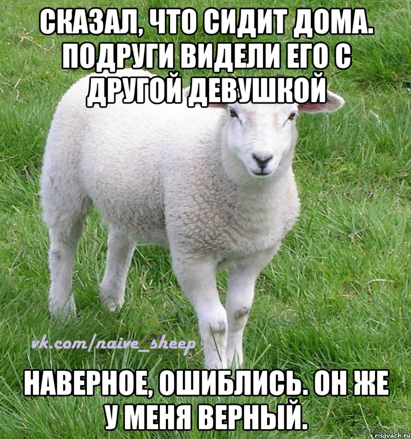 сказал, что сидит дома. подруги видели его с другой девушкой наверное, ошиблись. он же у меня верный.