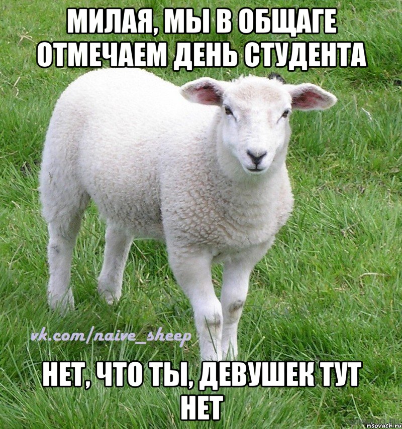 милая, мы в общаге отмечаем день студента нет, что ты, девушек тут нет