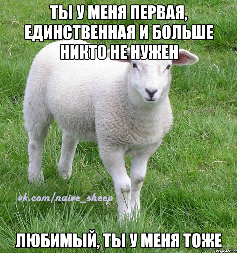 ты у меня первая, единственная и больше никто не нужен любимый, ты у меня тоже
