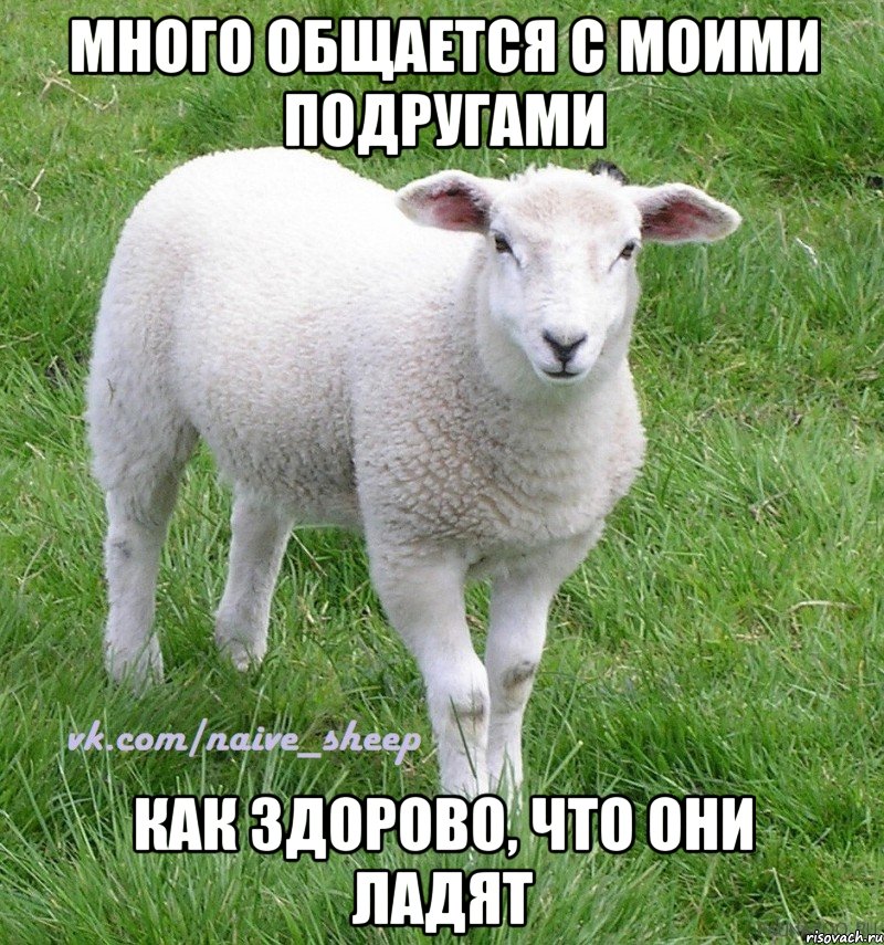 много общается с моими подругами как здорово, что они ладят