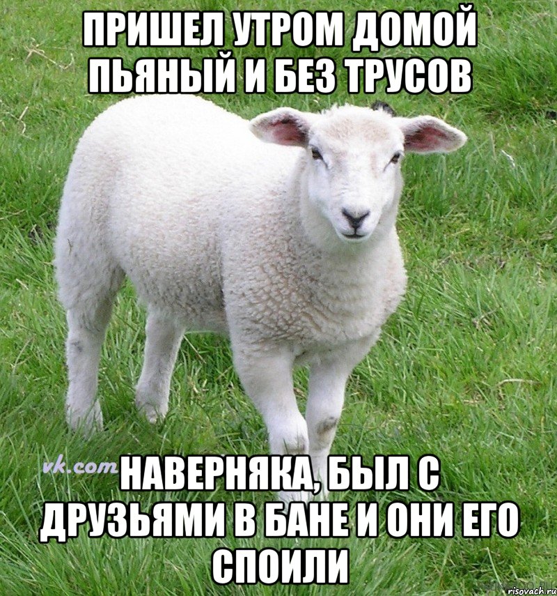 пришел утром домой пьяный и без трусов наверняка, был с друзьями в бане и они его споили