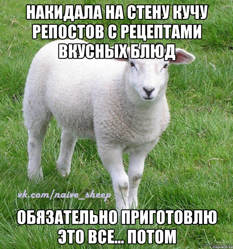 накидала на стену кучу репостов с рецептами вкусных блюд обязательно приготовлю это все... потом