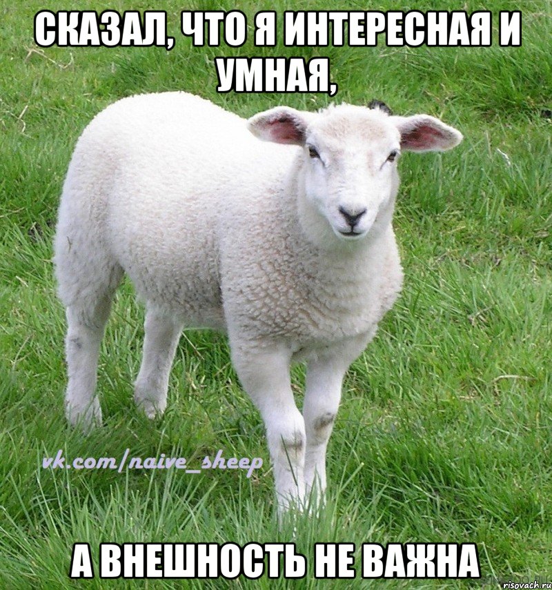 сказал, что я интересная и умная, а внешность не важна