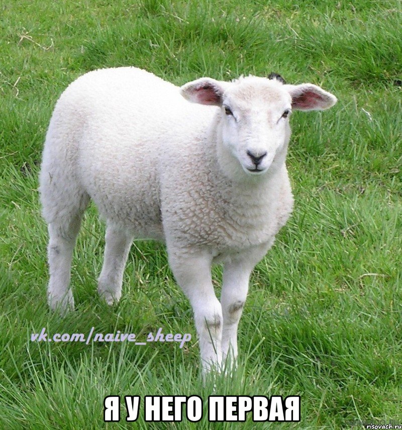  я у него первая