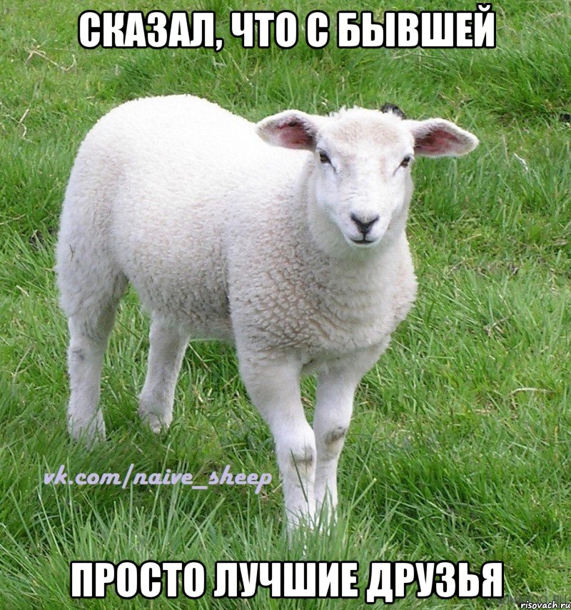сказал, что с бывшей просто лучшие друзья