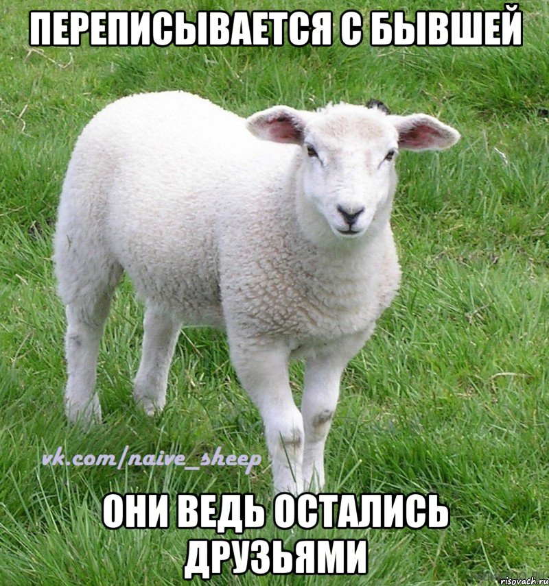 переписывается с бывшей они ведь остались друзьями