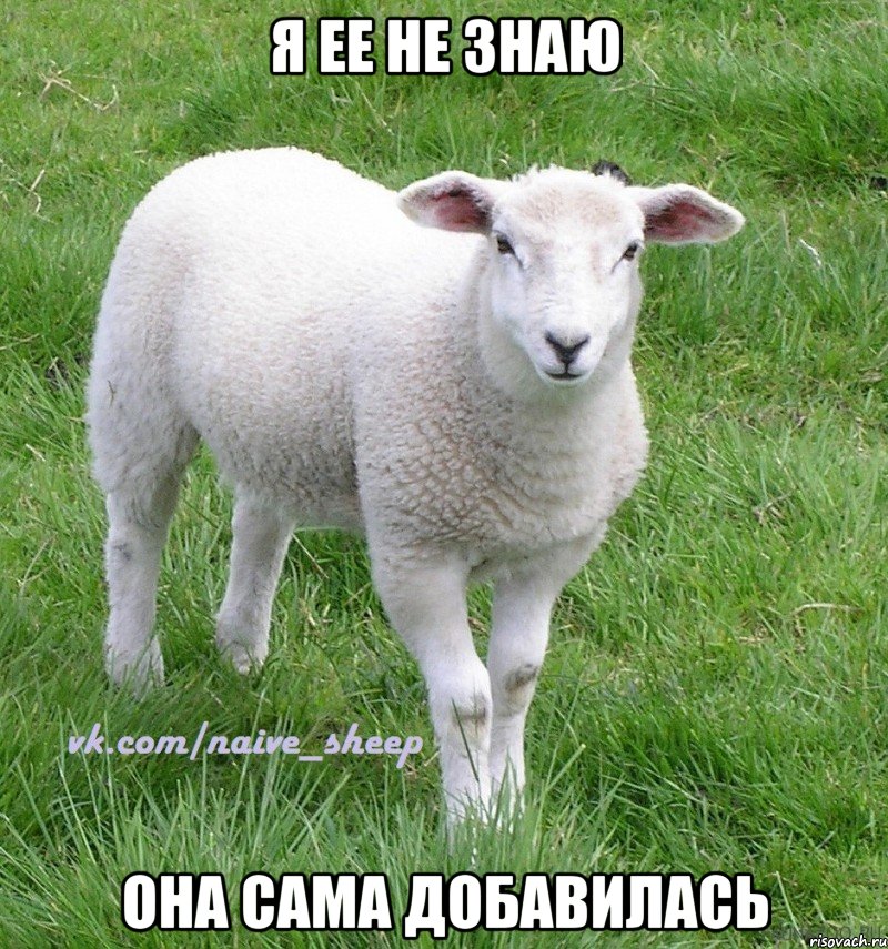 я ее не знаю она сама добавилась
