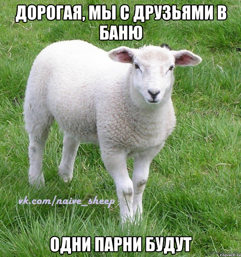 дорогая, мы с друзьями в баню одни парни будут